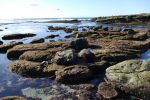 PICTURES/La Jolla Cove/t_La Jolla Tidal1.JPG